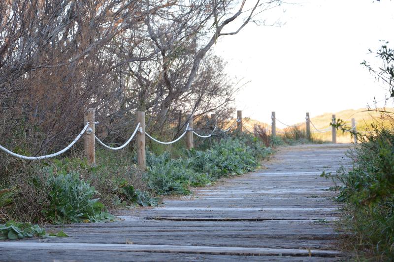 You&Co.Saler Beach Boutique - Genel