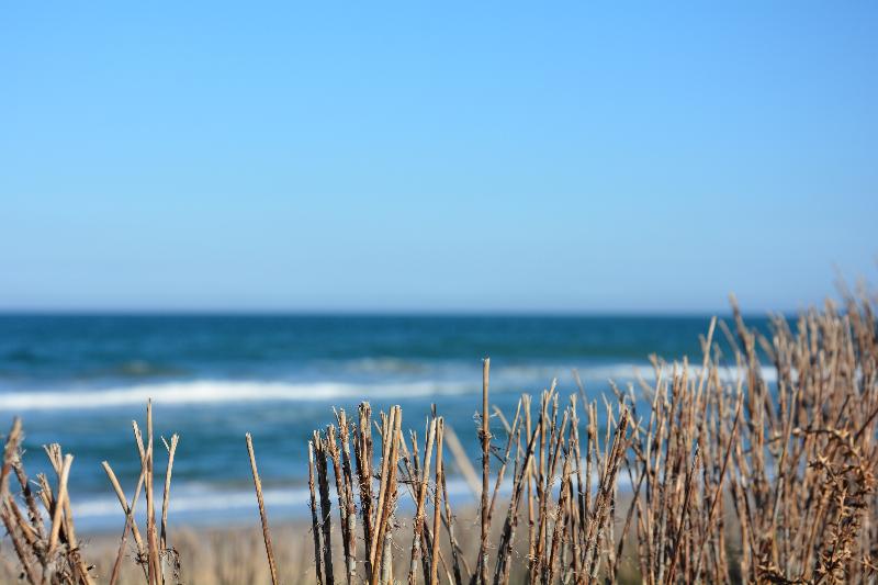 You&Co.Saler Beach Boutique - Plaj