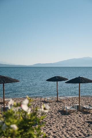 Calma Beach Hotel fotoÄŸrafÄ±