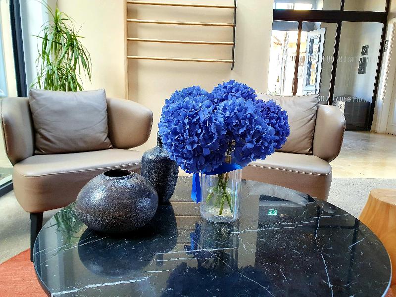 Hotel Indigo Larnaca - Adults Only - Lobi