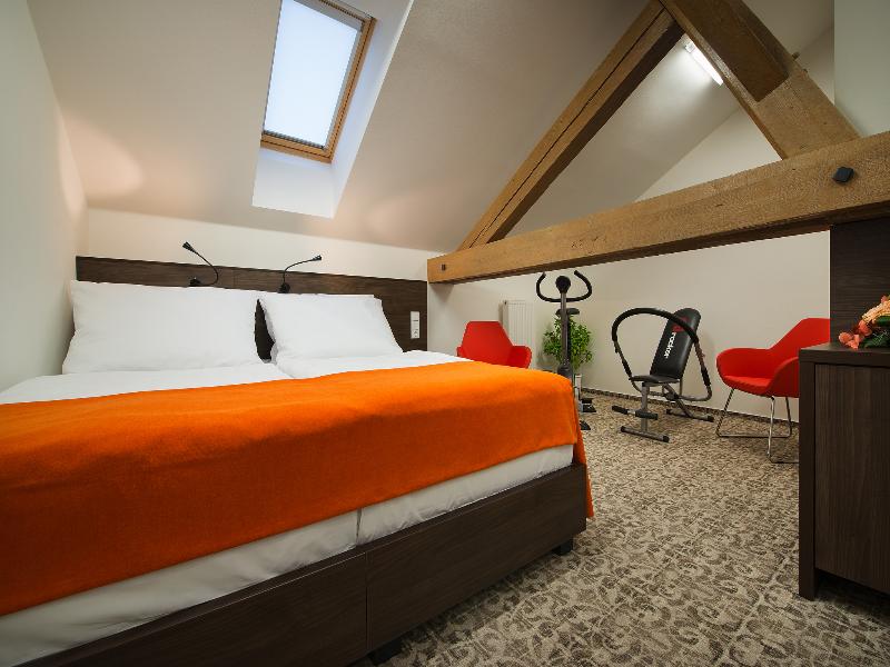 EA Business Hotel Jihlava - Oda