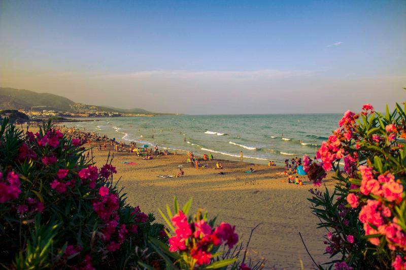 Kione Playa Romana - Plaj