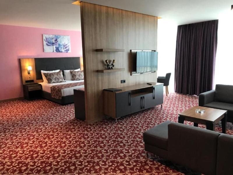 Euphoria Batumi Convention & Casino Hotel - Oda