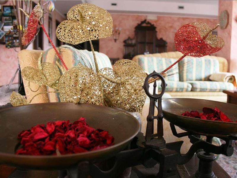 Hotel Villa Sonia - Lobi