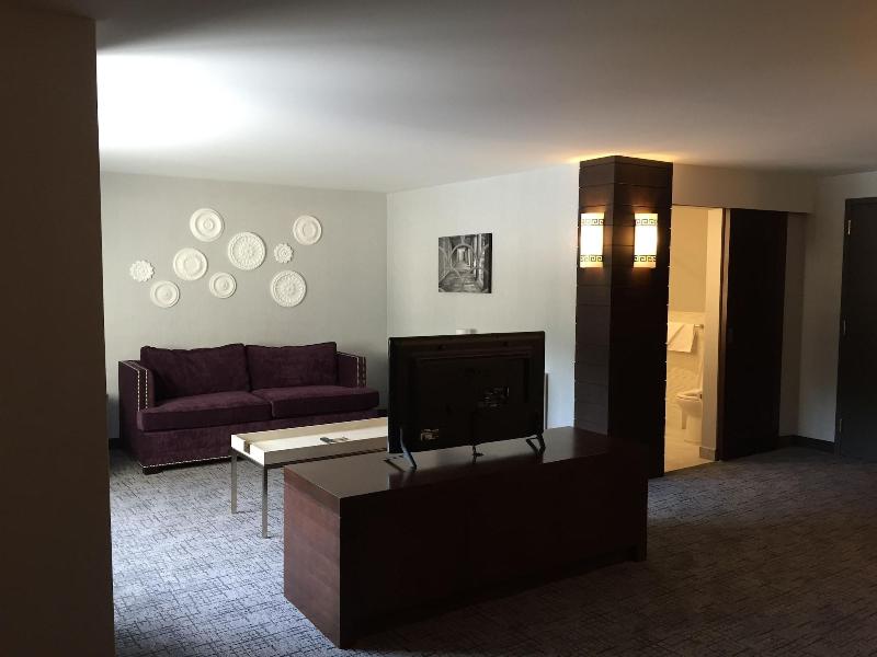 Royal Regency Hotel - Oda