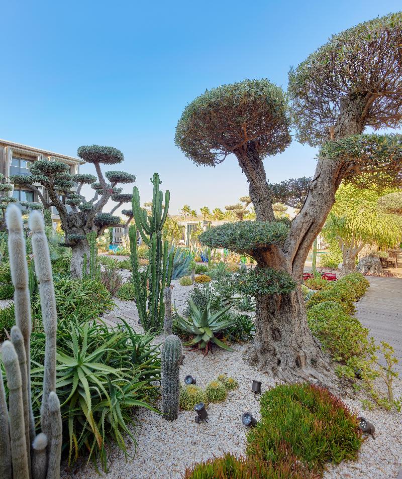 Biblos Beach Resort Alacati - Genel