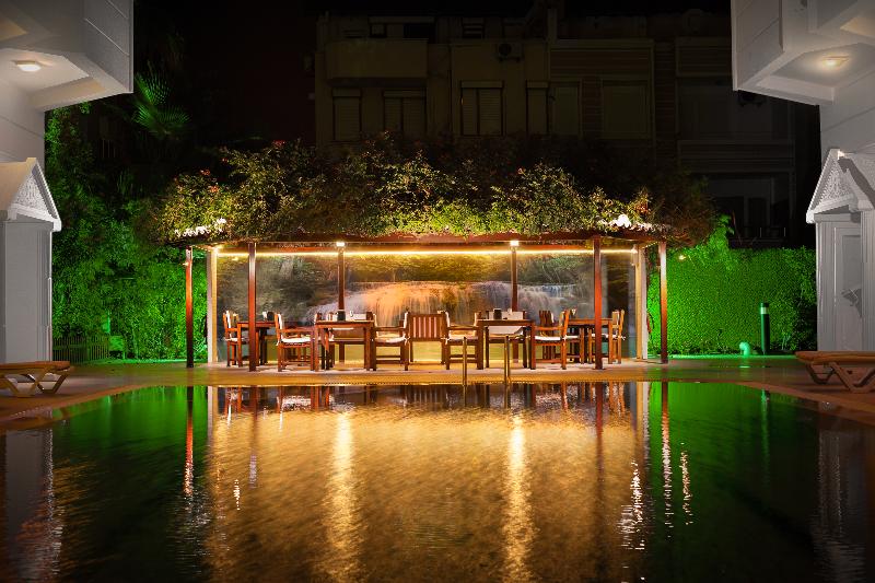 Golden Orange Hotel - Bar