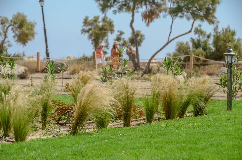 Glaronissi Beach - Genel