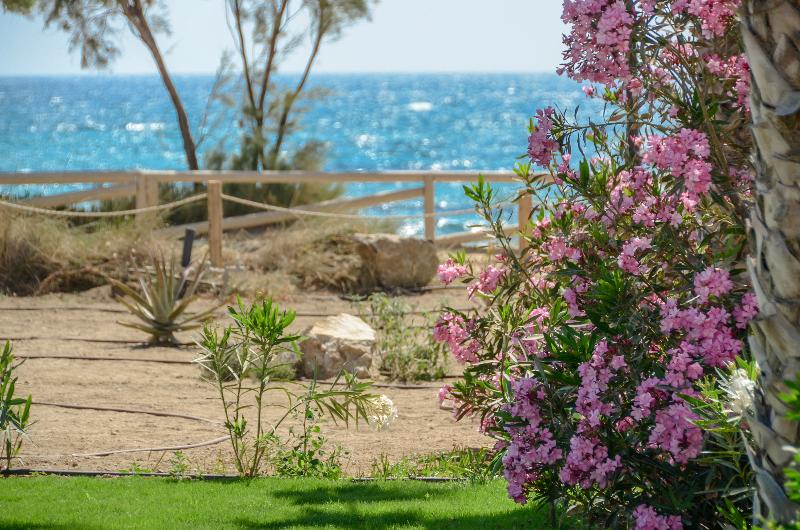 Glaronissi Beach - Genel