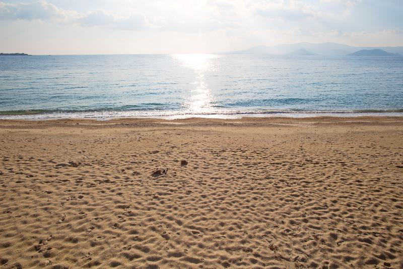 Glaronissi Beach - Plaj
