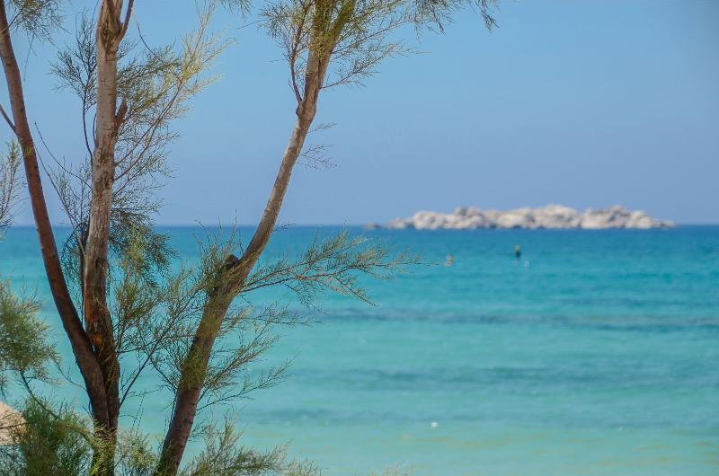 Glaronissi Beach - Plaj