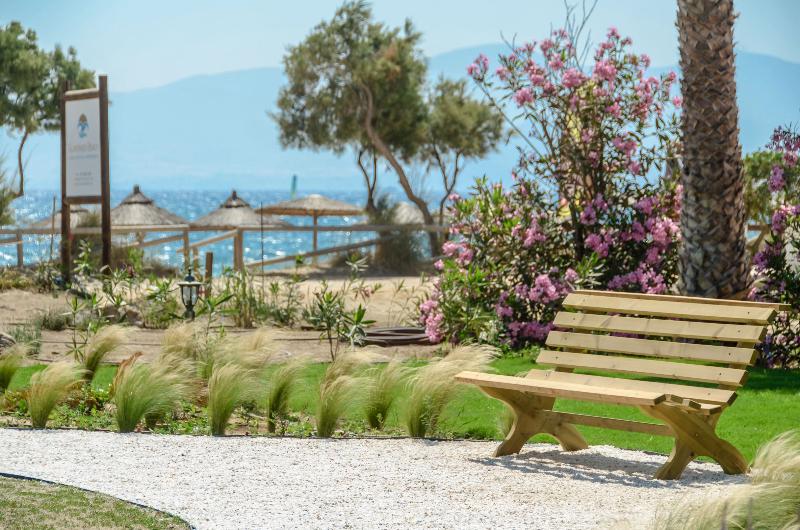 Glaronissi Beach - Teras
