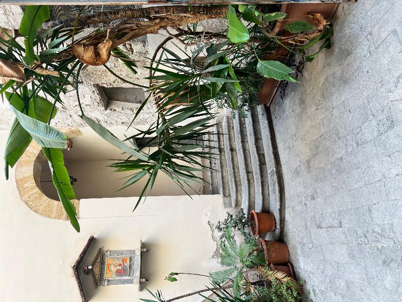 Bellaroto Suite - Genel