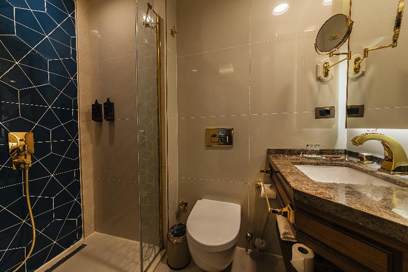 Mercure İstanbul Sirkeci Hotel - Oda