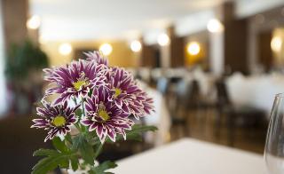 Hotel Calissano fotoÄŸrafÄ±