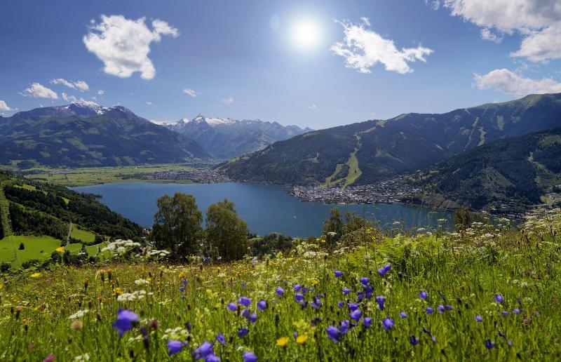 Alpenparks Arbeiterbahn - Aktivite