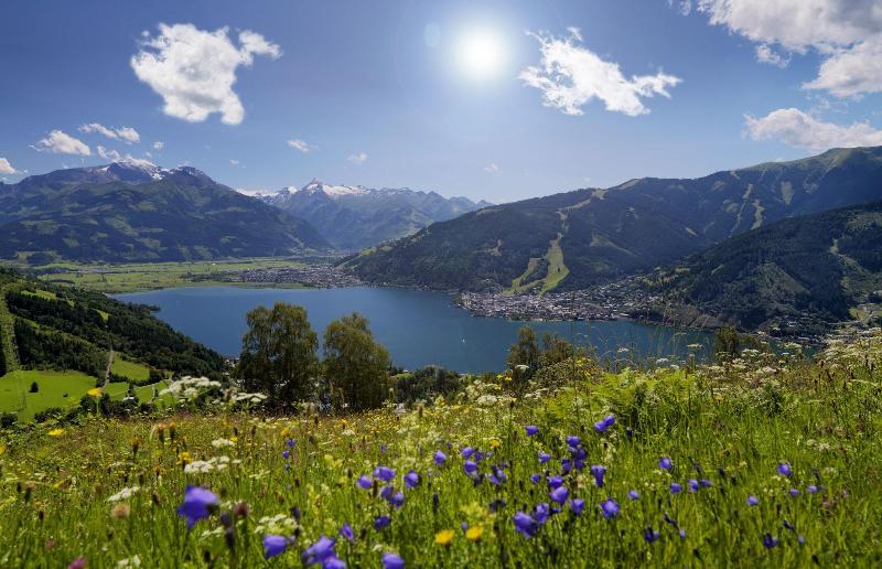 Alpenparks Arbeiterbahn - Aktivite