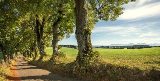 Hotel Weitblick Allgäu otel fotoğrafı