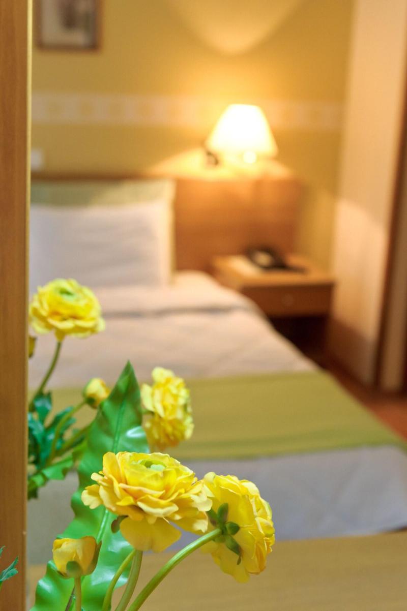 Anesis Hotel - Aktivite