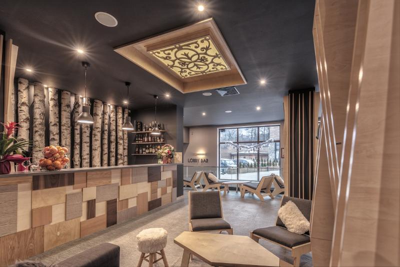 Arte Spa & Park Hotel - Lobi