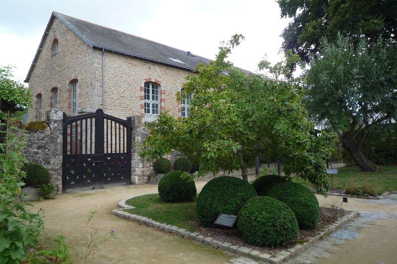 Hôtel Ginkgo - Genel