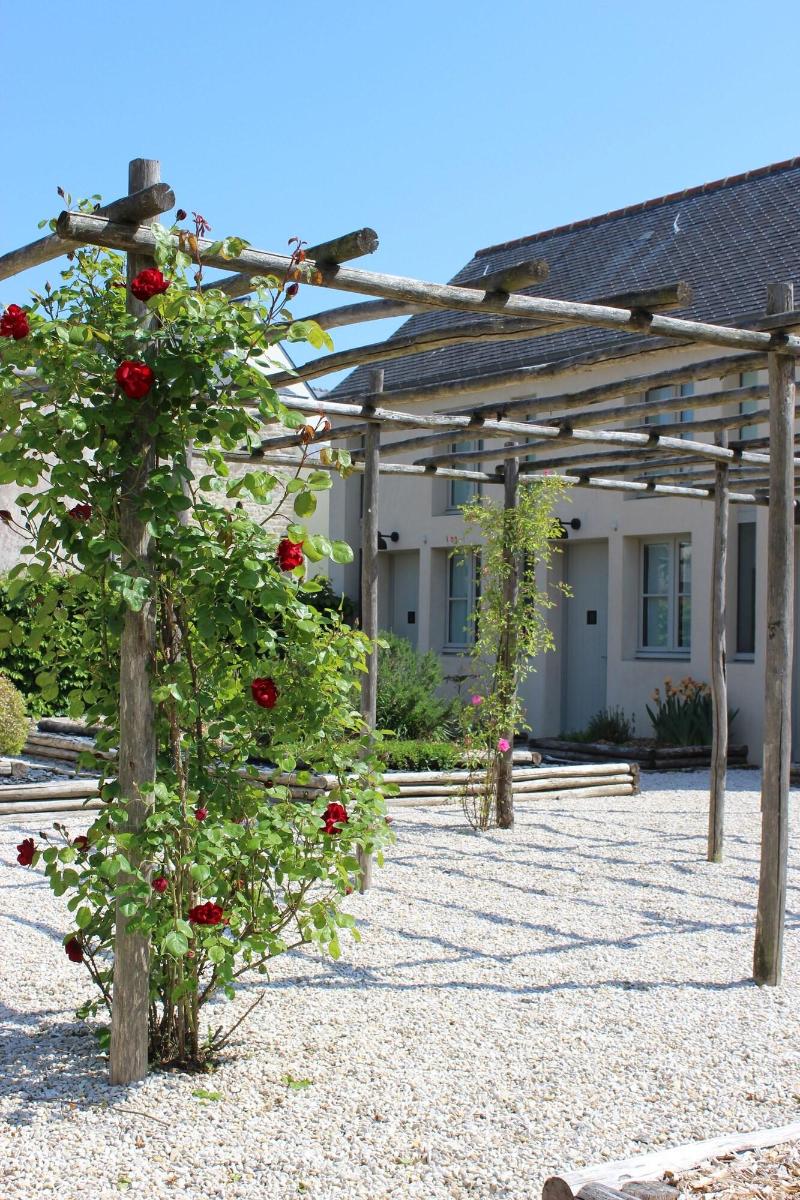 Hôtel Ginkgo - Teras