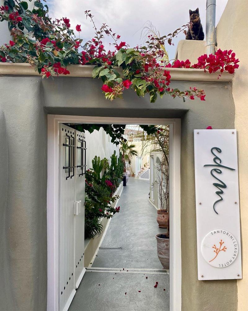 Edem Luxury Hotel - Genel
