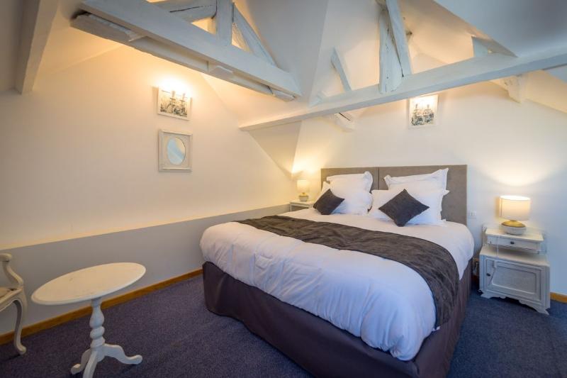 Domaine de Presle Saumur, The Originals Relais - Oda