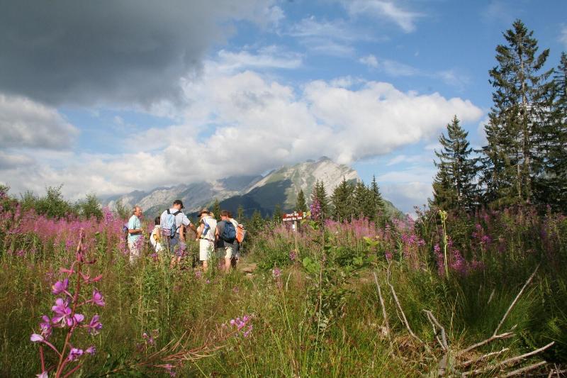 Le Pré Du Lac - Aktivite