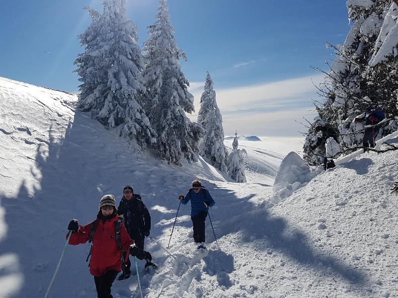 Le Pré Du Lac - Aktivite