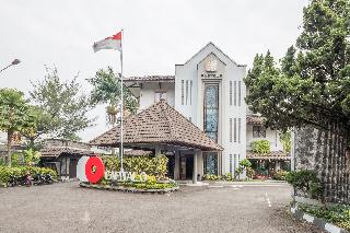 Nyland Pasteur fotoÄŸrafÄ±
