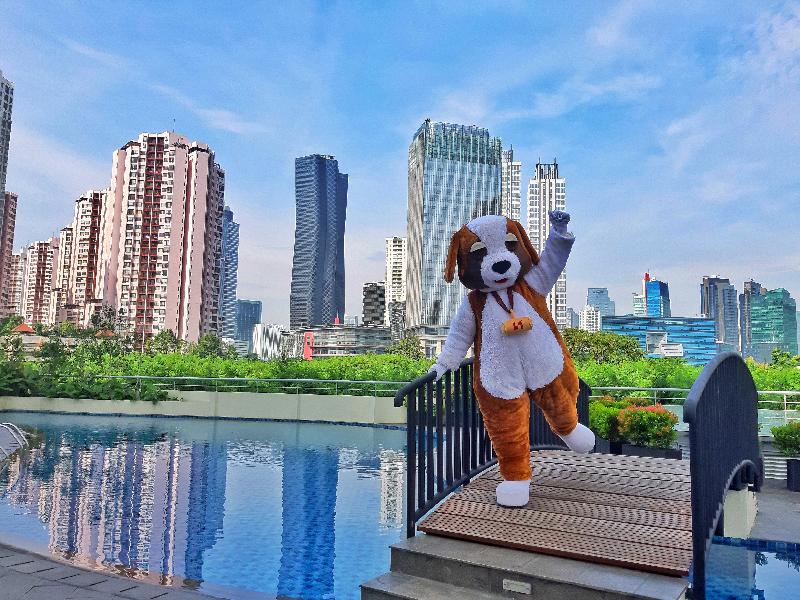 Swiss-Belresidences Rasuna Epicentrum - Havuz