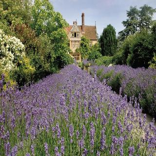 Le Manoir aux Quat'Saisons, A Belmond Hotel, Oxfor fotoÄŸrafÄ±