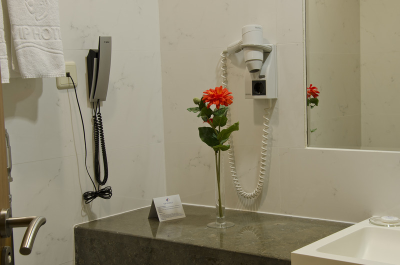 VIP Executive Santa Iria Hotel - Oda