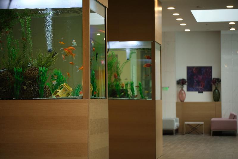 Secrets Sunny Beach Resort & Spa - Lobi
