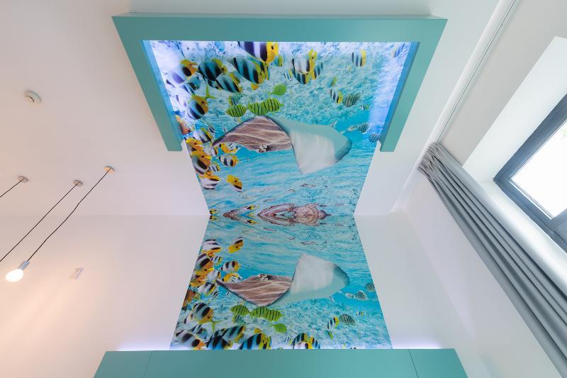 HD Acuario Lifestyle - Oda