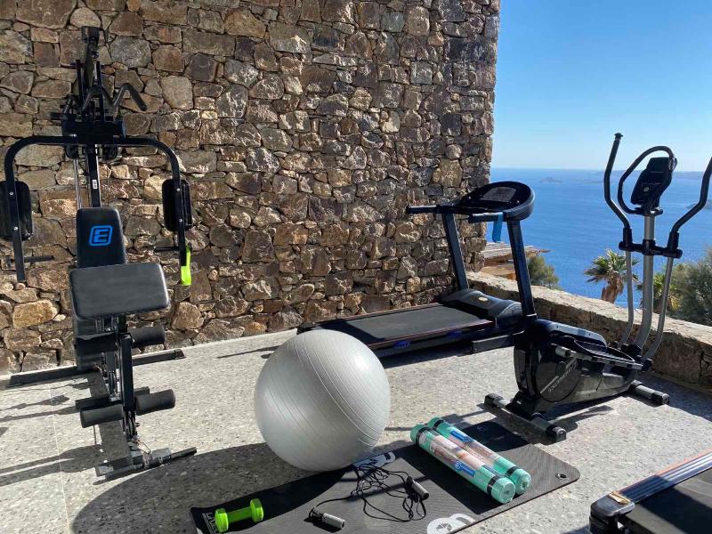 Alissachni Mykonos - Aktivite