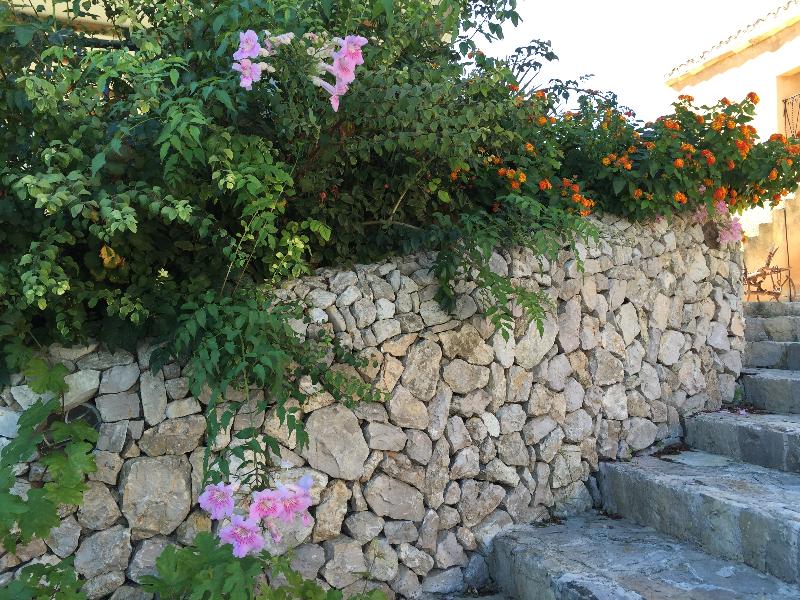 Agroturisme Es Picot - Lobi