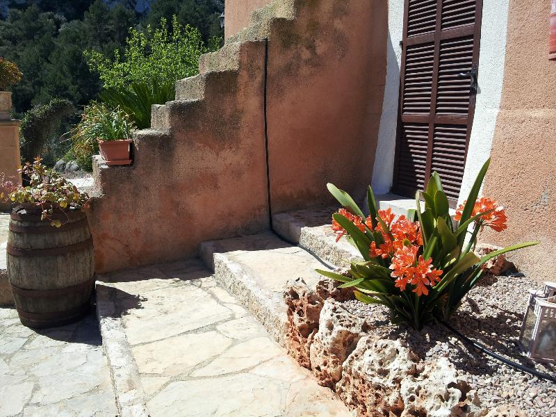 Agroturisme Es Picot - Oda