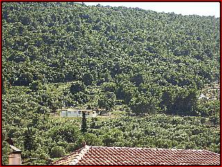 Blue Lake otel fotoğrafı