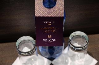SDivine Fátima Hotel, Congress & Spirituality fotoÄŸrafÄ±