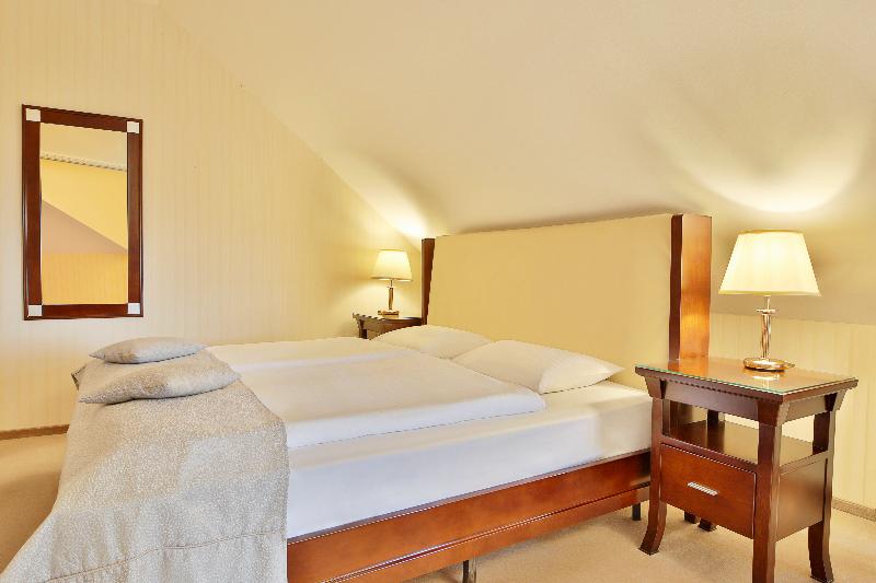 Sun Palace Wellness Hotel Marianske Lazne - Oda