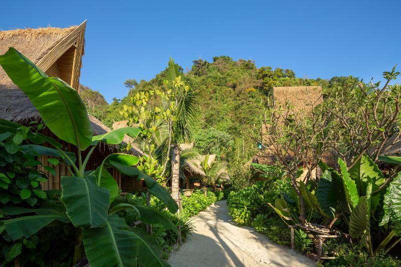 Phi Phi Coco Beach Resort - Genel