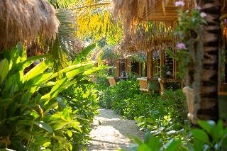 Phi Phi Coco Beach Resort fotoÄŸrafÄ±