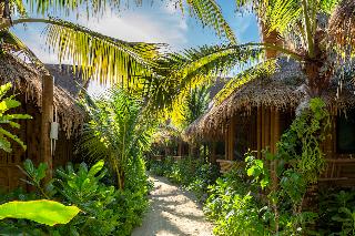 Phi Phi Coco Beach Resort fotoÄŸrafÄ±