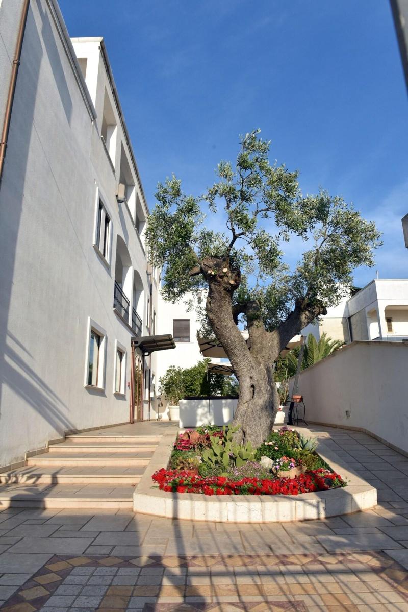 Hotel Victoria - Genel