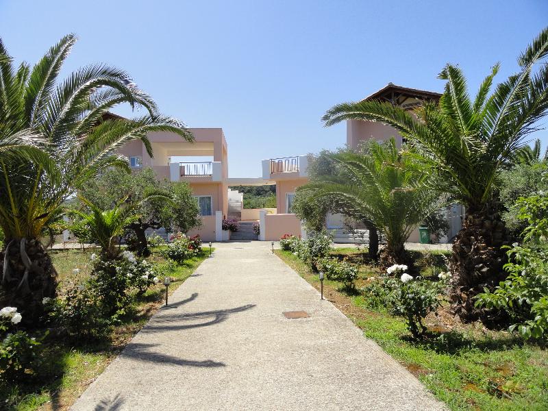 Pardalakis Studios - Genel