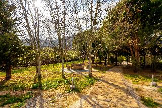 Quinta Do Quinto fotoÄŸrafÄ±