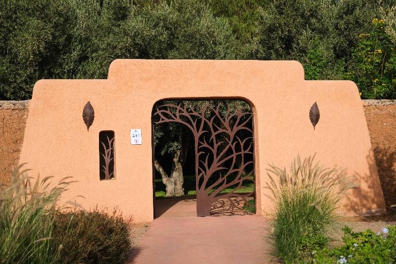 Oasis Lodges - Genel