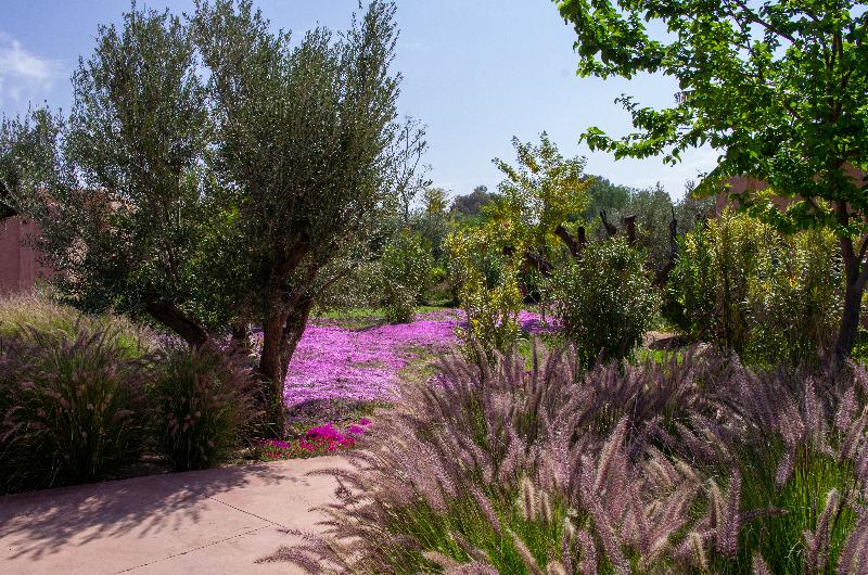 Oasis Lodges - Genel